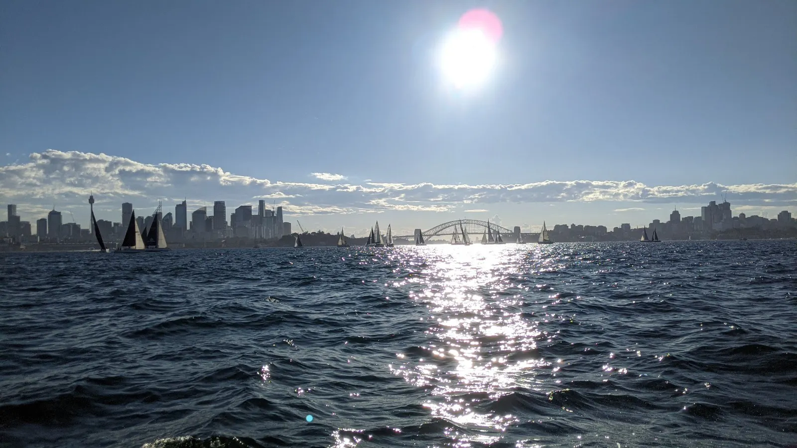 Sailability sailing on Sydney harbor